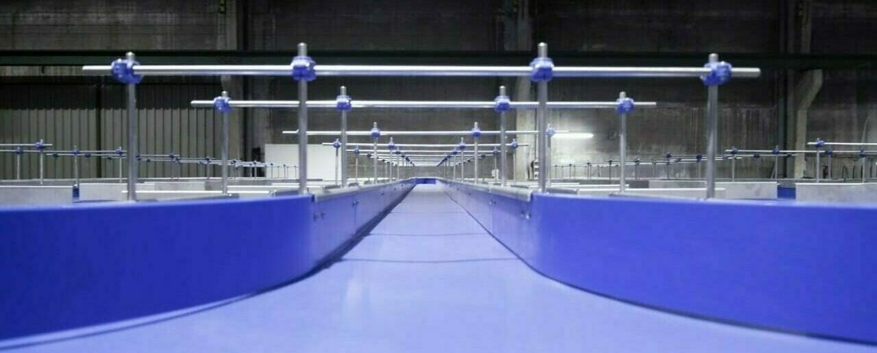 Image décorative de la bannière