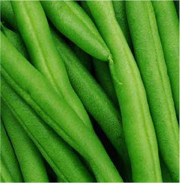 Long and thin vegetables