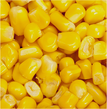 Sweet corn kernels, whole and cut cobs