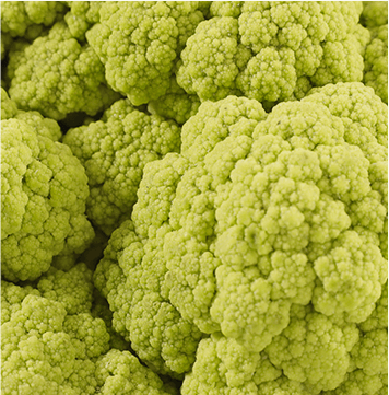 Cauliflower and broccoli